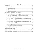 SKKN Khắc phục quan niệm sai lầm của HS trong dạy học kiến thức về lực từ tác dụng lên dòng điện