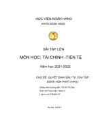 CHỦ đề QUYẾT ĐỊNH đầu tư của tập đoàn hòa PHÁT (HPG) 