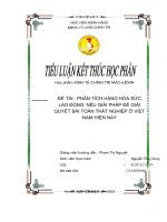 PHÂN TÍCH HÀNG hóa sức LAO ĐỘNG  nêu GIẢI PHÁP để GIẢI QUYẾT bài TOÁN THẤT NGHIỆP ở VIỆT NAM HIỆN NAY 