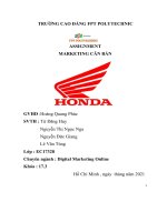 PHÂN TÍCH môi TRƯỜNG MARKETING của DOANH NGHIỆP công ty honda việt nam 