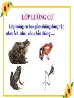 1234567 - Bài giảng khác - Trần Thanh Tâm - Thư viện Bài giảng điện tử
