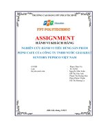 NGHIÊN cứu HÀNH VI TIÊU DÙNG sản PHẨM PEPSI CAFE của CÔNG TY TNHH nước GIẢI KHÁT SUNTORY PEPSICO VIỆT NAM 