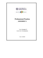 Professional practice ASSIGNMENT 2 unit 3 professional practice 