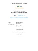 BÁO cáo CUỐI môn học môn HOẠCH ĐỊNH CHIẾN lược PR CÔNG TY cổ PHẦN TH TRUE MILK 