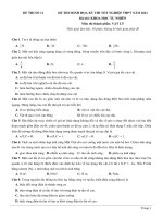 Đề số 11 - Đề thi thử THPT quốc gia môn vật lý 2021 có đáp án và hướng dẫn giải chi tiết.