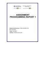ASSIGNMENT PROGRAMMING REPORT 1 unit 1 programming 