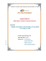 ASSIGNMENT môn học HÀNH VI KHÁCH HÀNG chuyên đề nghiên cứu hành vi khách hàng về sản phẩm c2 công ty URC 
