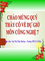 lớp 7 - Lưu trữ tạm thời - trieu thi huyền - Thư viện Bài giảng điện tử