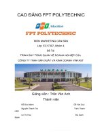 TRÌNH bày TỔNG QUAN về DOANH NGHIỆP của CÔNG TY TNHH sản XUẤT và KINH DOANH VINFAST 