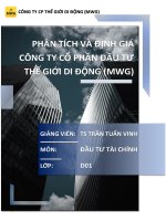 PHÂN TÍCH VÀ ĐỊNH GIÁ CÔNG TY CỔ PHẦN ĐẦU TƯ THẾ GIỚI DI ĐỘNG (MWG)