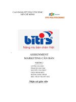 ASSIGNMENT MARKETING căn bản công ty TNHH sản xuất hàng tiêu dùng bình tiên biti’s 