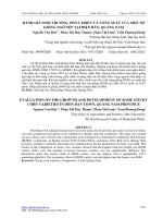 Đánh giá sinh trưởng, phát triển và năng suất của một số giống ngô nếp tại Điện Bàn, Quảng Nam