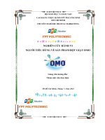 NGHIÊN cứu HÀNH VI NGƯỜI TIÊU DÙNG về sản PHẨM bột GIẶT OMO 