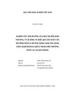 Nghiên cứu ảnh hưởng của mật độ đến sinh trưởng, tỷ lệ sống và hiệu quả sản xuất của mô hình nuôi cá rô phi thâm canh ứng dụng công nghệ biofloc (bft) trong môi trường nước lợ tại hải phòng   