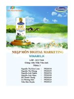 PHÂN TÍCH CHUNG về DOANH NGHIỆP vinamilk là tên viết tắt của công ty cổ phần sữa việt nam (vietnam dairy products joint stock company 