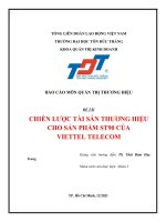 BÁO CÁO MÔN QUẢN TRỊ THƯƠNG HIỆU ĐỀ TÀI CHIẾN LƯỢC TÀI SẢN THƯƠNG HIỆU CHO SẢN PHẨM ST90 CỦA VIETTEL TELECOM