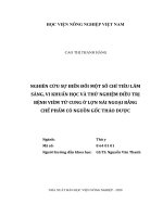 Nghiên Cứu Sự Biến Đổi Một Số Chỉ Tiêu Lâm Sàng, Vi Khuẩn Học Và Thử Nghiệm Điều Trị Bệnh Viêm Tử Cung Ở Lợn Nái Ngoại Bằng   Chế Phẩm Có Nguồn Gốc Thảo Dược