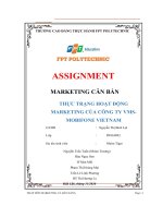 MARKETING căn bản THỰC TRẠNG HOẠT ĐỘNG MARKETING của CÔNG TY VMS MOBIFONE VIETNAM 