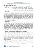 Rủi ro do ngập lụt ở thành phố Đà Nẵng