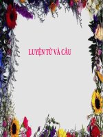 luyện từ và câu lớp 3.