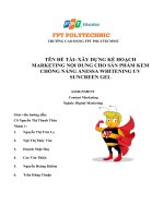 XÂY DỰNG kế HOẠCH MARKETING nội DUNG CHO sản PHẨM KEM CHỐNG NẮNG ANESSA WHITENING UV SUNCREEN GEL 