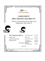 ASSIGNMENT môn THƯƠNG mại điện tử chủ đề lập hoạch thương mại điện tử cho thương hiệu tiệm tranh 79 