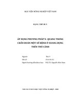 Áp Dụng Phương Pháp X- Quang Trong Chẩn Đoán Một Số Bệnh Ở Xoang Bụng Trên Thú Cảnh