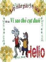 mam non - Bài giảng khác - Phan Thi Dien - Thư viện Bài giảng điện tử