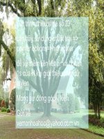 Bài 18. Sự lai hoá các obitan nguyên tử. Sự hình thành liên kết đơn, liên kết đôi và liên kết ba