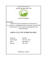 Đánh giá năng suất sinh sản của đàn lợn nái f1 (l x y) phối với lợn đực duroc nuôi tại trang trại ông cù xuân thinh, thành phố phúc yên, tỉnh vĩnh phúc   