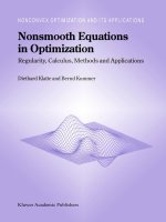 Nonsmooth equations in optimization 