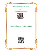 Phiếu bài tập tuần môn toán lớp 8