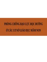 PHÒNG CHỐNG BẠO LỰC HỌC ĐƯỜNGỞ CÁC CƠ SỞ GIÁO DỤC MẦM NON