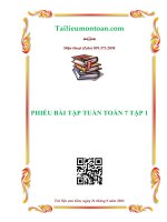 Phiếu bài tập tuần môn toán lớp 7 tập 1