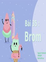 Bài 35. Brom - Hóa học 10 Nâng cao - Nguyễn Khánh Hằng - Thư viện Bài giảng điện tử