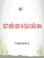 BÀI 7 ĐỌT BIẾN GEN VÀ SỮA  CHỮA DNA