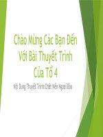 Bài 16. Tế bào nhân thực (tiếp theo)