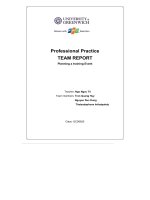 Professional practice TEAM REPORT planning a training event 