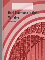 Real functions in one variable 
