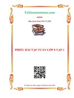 Phiếu bài tập tuần môn toán lớp 8 tập 1