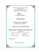Chuyên đề xây DỰNG và TRIỂN KHAI THỰC HIỆN kế HOẠCH EMAIL MARKETING CHO DỊCH vụ DU LỊCH tại CÔNG TY VIETRAVEL 
