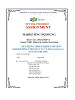 XÂY DỰNG CHIẾN DỊCH CONTENT MARKETING CHO CÔNG TY cổ PHẦN DAMACA NGUYÊN PHƯƠNG 