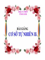 BÀI GẢNG - Giáo dục Tiểu học - Võ Như Kim - Thư viện Bài giảng điện tử