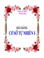 BAI GIẢNG - Giáo dục Tiểu học - Võ Như Kim - Thư viện Bài giảng điện tử