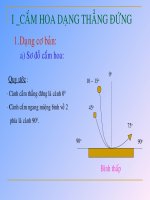 TỈA HOA CƠ BẢN - Giáo dục Tiểu học - Trần Thị Hoa - Thư viện Bài giảng điện tử