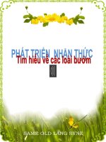 ppt3 - Giáo dục Tiểu học - Nguyễn Mai Phương - Thư viện Bài giảng điện tử