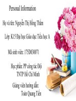 Công tác đội - Giáo dục Tiểu học - Nguyễn Thị Hồng Thắm - Thư viện Bài giảng điện tử