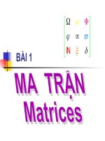 Ma trận - Toán học - Nguyễn Đặng Gia Lạc - Thư viện Bài giảng điện tử