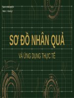 SƠ ĐỒ NHÂN QUẢ BIỂU ĐỒ XƯƠNG CÁ VÀ ỨNG DỤNG THỰC TẾ