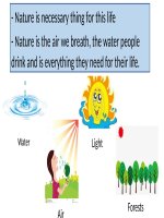 Role of Nature - Giáo dục Tiểu học - Nguyễn Phương Thảo - Thư viện Bài giảng điện tử